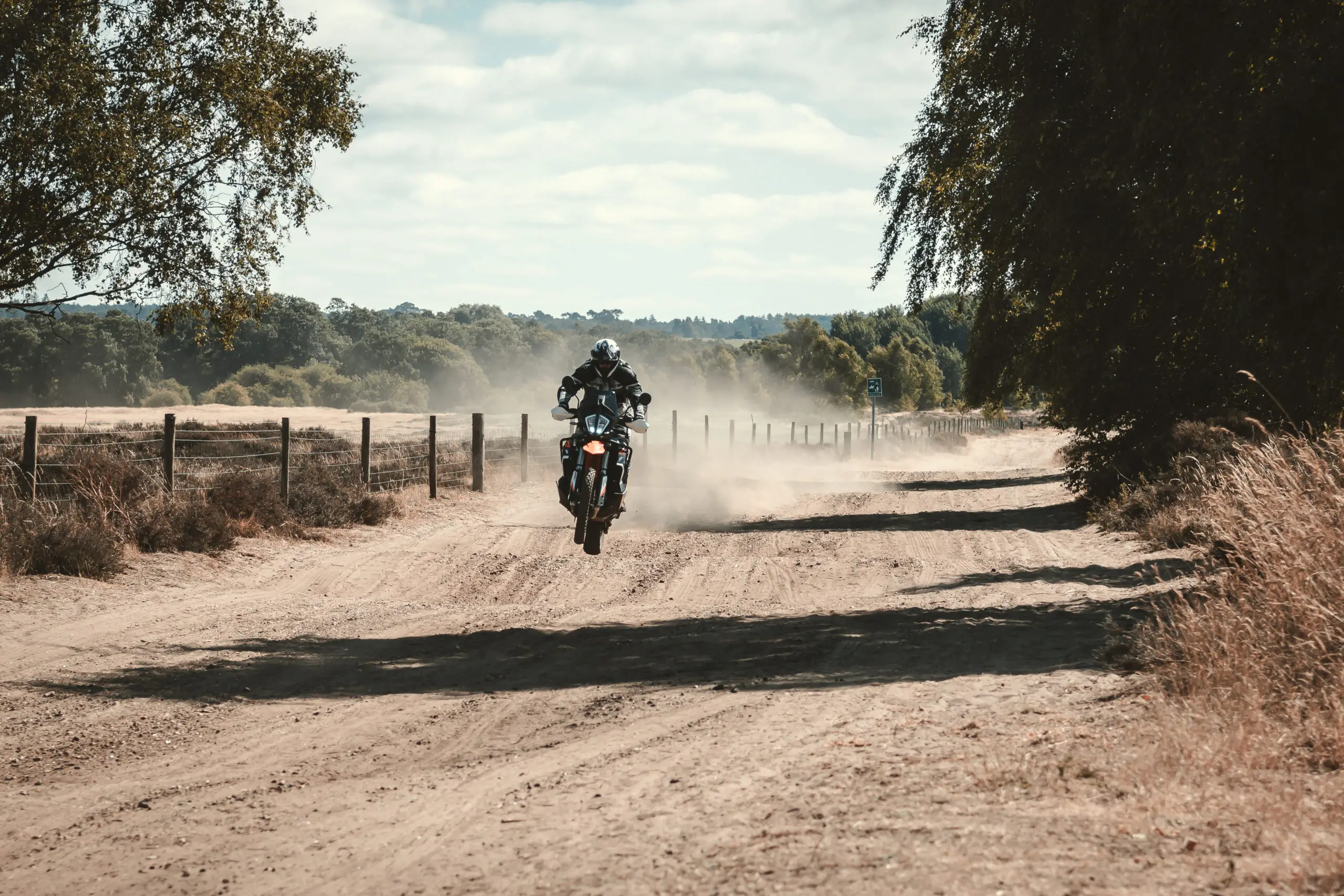 Thetford Forest