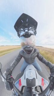 Now back home (in 🇬🇧) and missing days like this when you could ride with jeans and a leather jacket and not freeze to dead 🤣 • • • • #advanceriding #rideuk #keepitreal #nobullshit #ridesafe #rideuk #justride #roadtrip #bmwmotorrad #makelifearide #roadexplorer #mototraveler #bigtrail #adventuretime #bmwadventureriders #bmwadvriders #adventurebikeriders #cardofam #shootandride #nexxhelmets