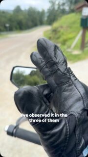 Random facts about Nordic countries… #randomfacts #malonmoto #adventurerider #ukmotorcycle #nobullshit